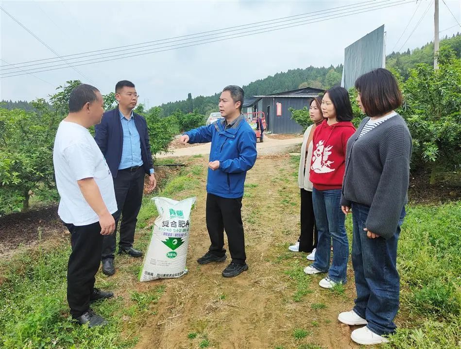 旌阳融媒：爱心化肥送上门 助力生产暖人心